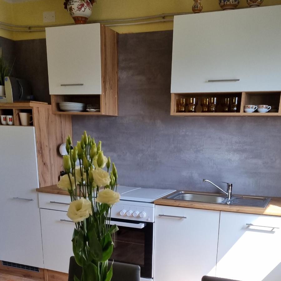 Apartma Tanja -Kamnik Eksteriør bilde