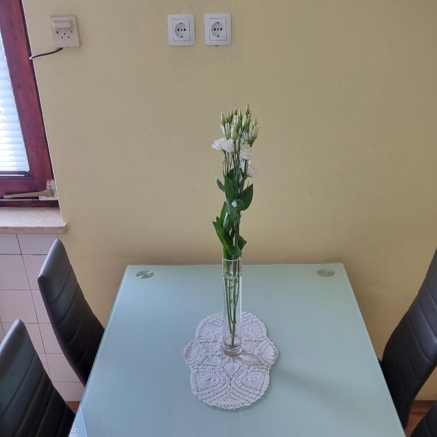 Apartma Tanja -Kamnik Eksteriør bilde